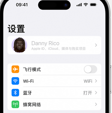 新化appleID维修服务iPhone设置中Apple ID显示为灰色无法使用