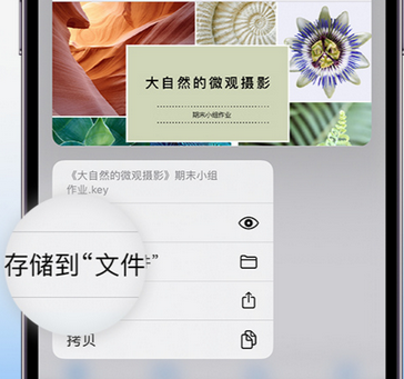 新化apple维修中心分享iPhone文件应用中存储和找到下载文件