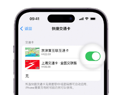 新化apple维修点分享iPhone上更换Apple Pay快捷交通卡手绘卡面 