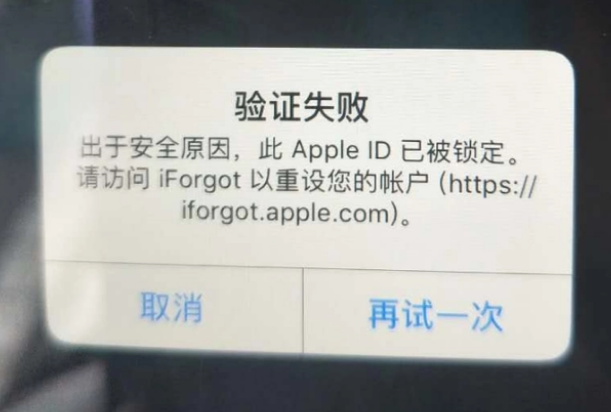 新化iPhone维修分享iPhone上正常登录或使用AppleID怎么办 