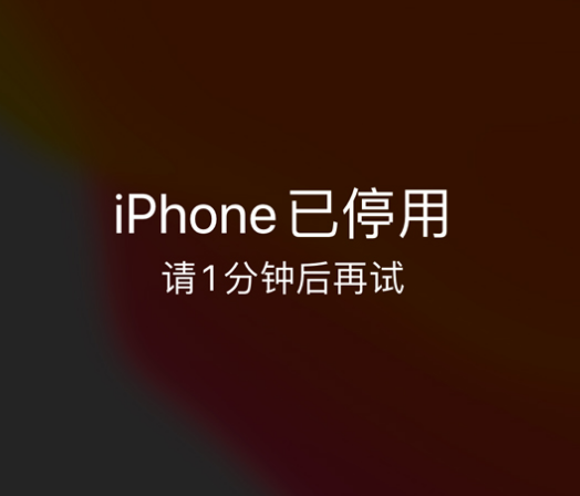 新化苹果手机维修分享:iPhone 显示“不可用”或“已停用”怎么办？还能保留数据吗？ 