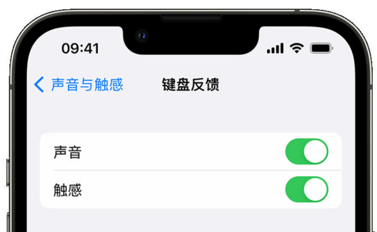 新化苹果手机维修分享iPhone 14触感键盘使用方法 