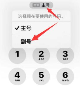 新化苹果14维修店分享iPhone 14 Pro Max使用副卡打电话的方法 