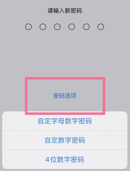 新化苹果14维修分享iPhone 14plus设置密码的方法 