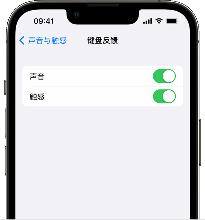 新化苹果14维修分享iPhone 14 系列机型如何开启键盘声音或触感反馈 