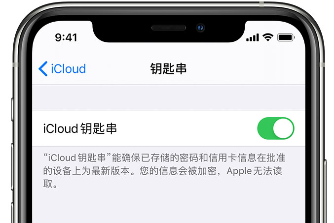 新化苹果手机维修分享在 iPhone 上开启 iCloud 钥匙串之后会储存哪些信息 