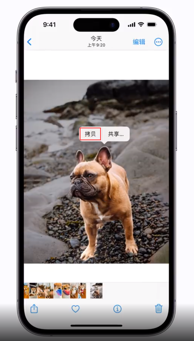 新化苹果手机维修分享 iOS 16 自带一键抠图功能 
