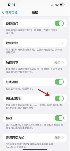 新化苹果手机维修分享iPhone手机如何设置摇一摇删除文字 