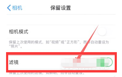 新化苹果13维修分享iPhone13拍照有绿点是怎么回事 
