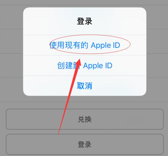新化苹果手机维修分享两台iPhone设备可以同时登录一个Apple ID吗 