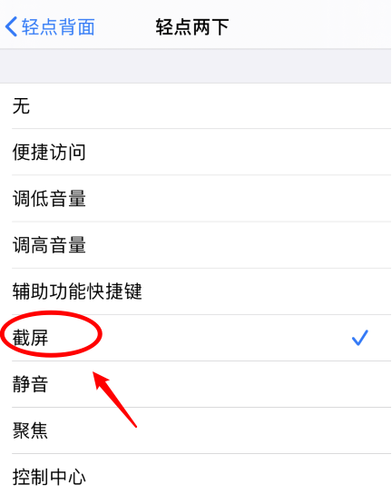 新化苹果手机维修分享iPhone12如何启用双击截屏 