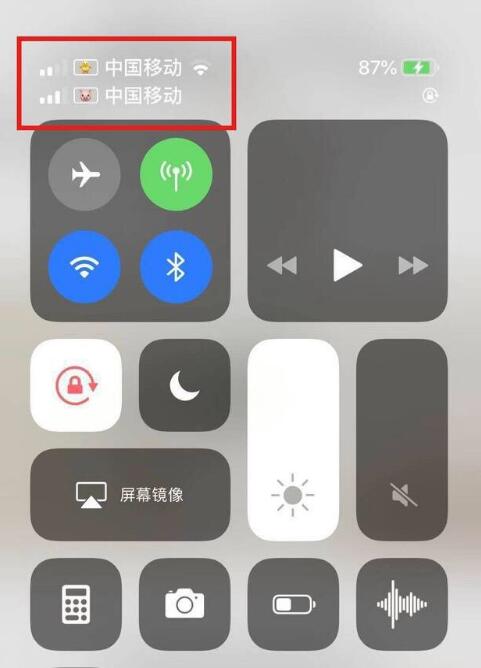 新化苹果手机维修分享为 iPhone 12 双卡设置标签 